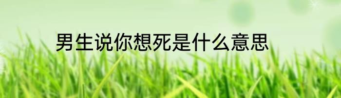 男生说你想死是什么意思