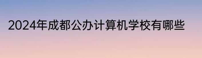 2024年成都公办计算机学校有哪些