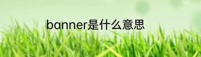 banner是什么意思