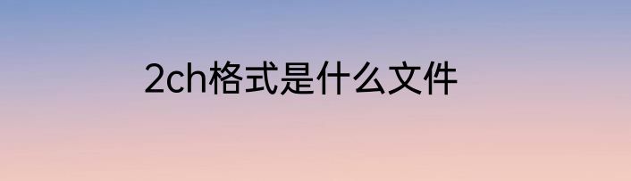 2ch格式是什么文件