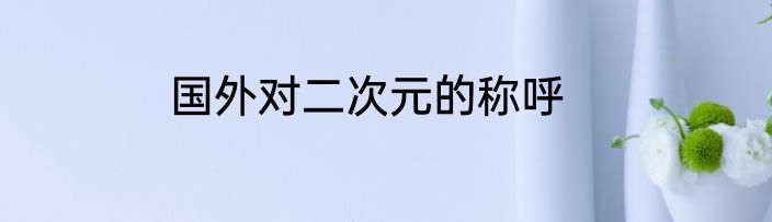 国外对二次元的称呼