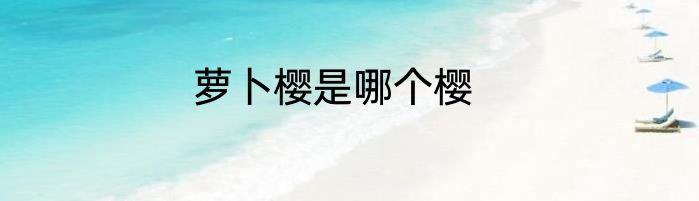 萝卜樱是哪个樱
