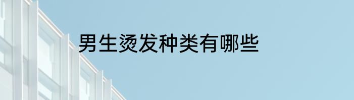 男生烫发种类有哪些