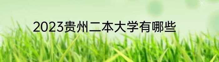 2023贵州二本大学有哪些