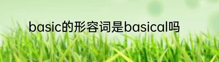 basic的形容词是basical吗