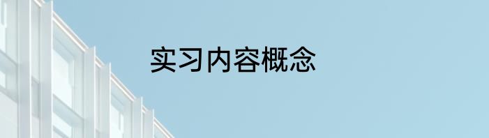 实习内容概念