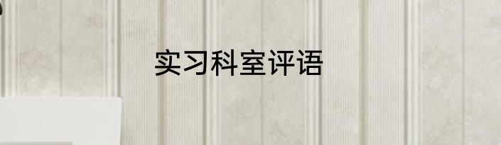 实习科室评语