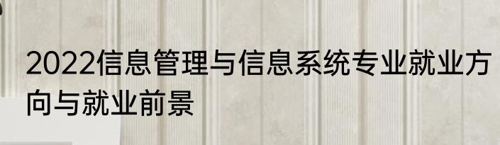 2022信息管理与信息系统专业就业方向与就业前景