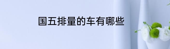 国五排量的车有哪些