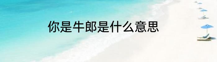 你是牛郎是什么意思