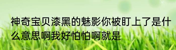 神奇宝贝漆黑的魅影你被盯上了是什么意思啊我好怕怕啊就是