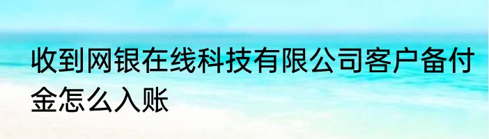 收到网银在线科技有限公司客户备付金怎么入账