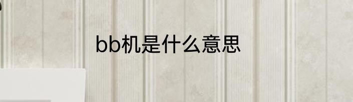 bb机是什么意思