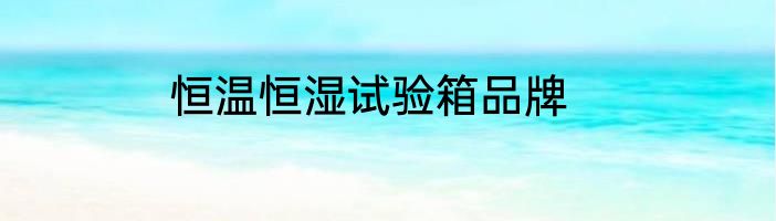 恒温恒湿试验箱品牌