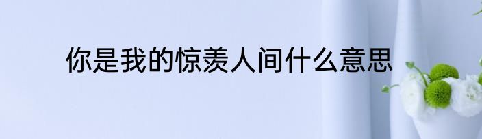 你是我的惊羡人间什么意思