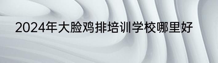 2024年大脸鸡排培训学校哪里好