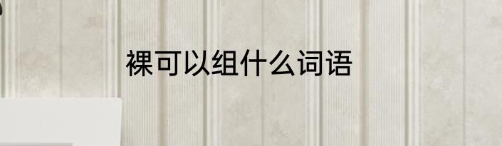 裸可以组什么词语