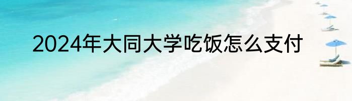 2024年大同大学吃饭怎么支付