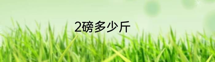2磅多少斤