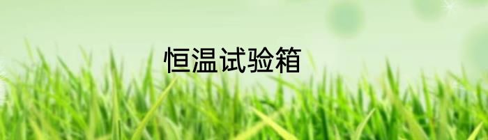 恒温试验箱