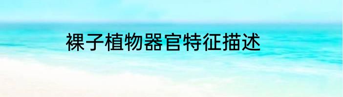 裸子植物器官特征描述