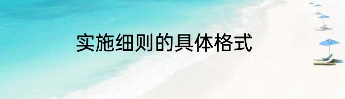 实施细则的具体格式