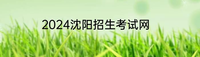 2024沈阳招生考试网