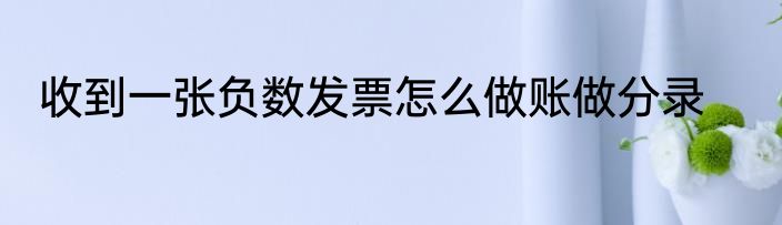 收到一张负数发票怎么做账做分录