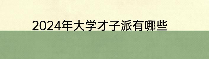 2024年大学才子派有哪些