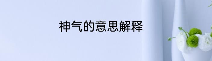神气的意思解释