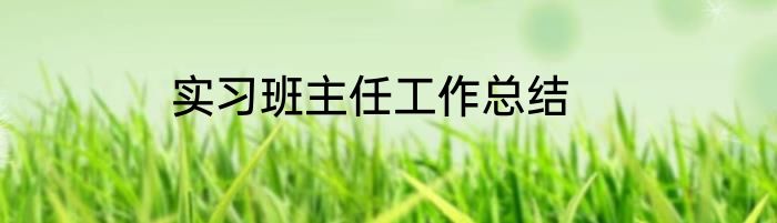 实习班主任工作总结