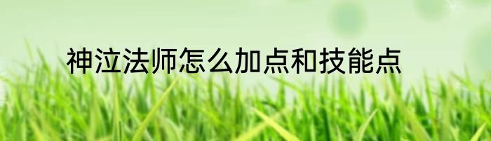 神泣法师怎么加点和技能点
