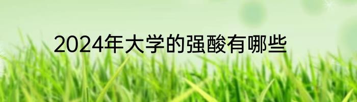 2024年大学的强酸有哪些