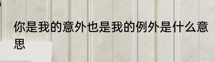 你是我的意外也是我的例外是什么意思