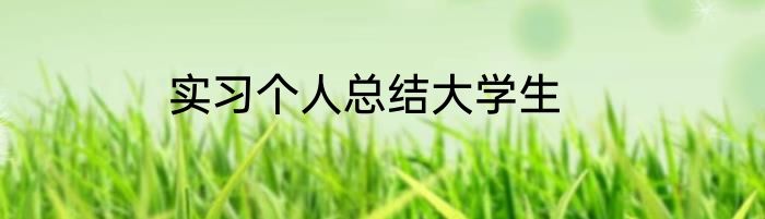 实习个人总结大学生