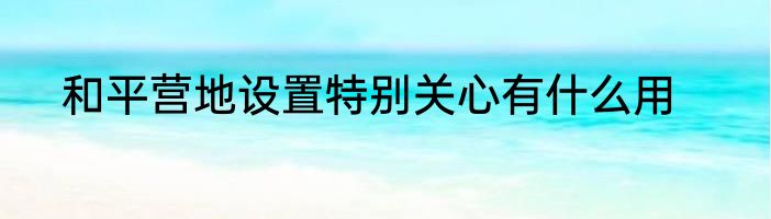 和平营地设置特别关心有什么用