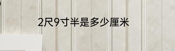 2尺9寸半是多少厘米