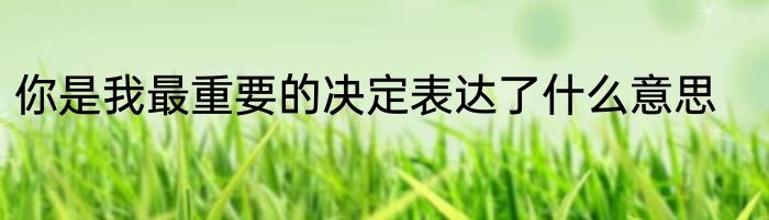 你是我最重要的决定表达了什么意思