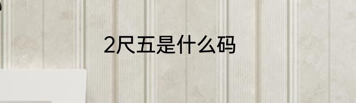 2尺五是什么码
