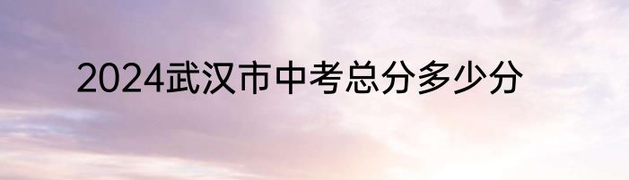 2024武汉市中考总分多少分