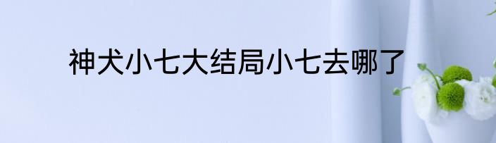 神犬小七大结局小七去哪了