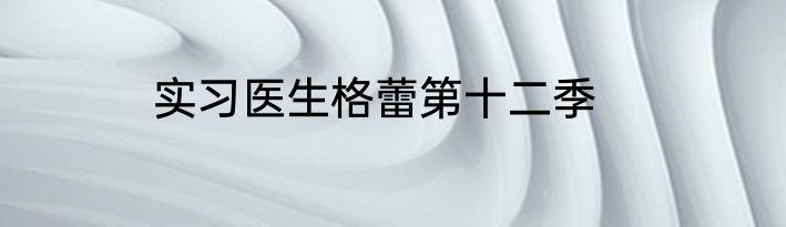 实习医生格蕾第十二季
