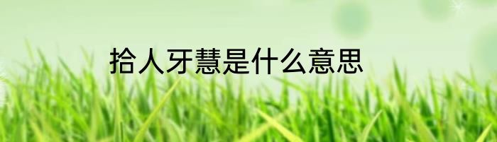 拾人牙慧是什么意思