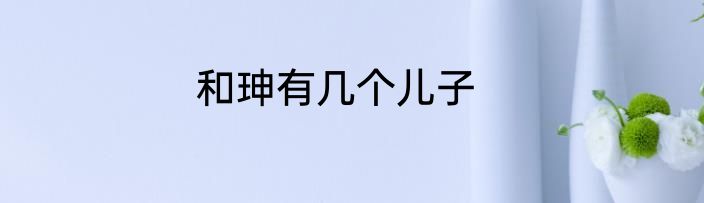 和珅有几个儿子