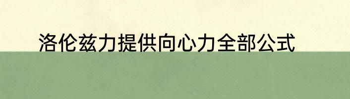 洛伦兹力提供向心力全部公式