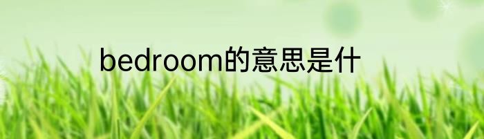 bedroom的意思是什