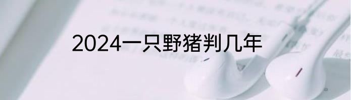 2024一只野猪判几年