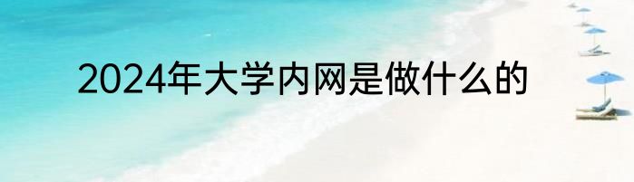 2024年大学内网是做什么的