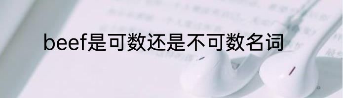 beef是可数还是不可数名词