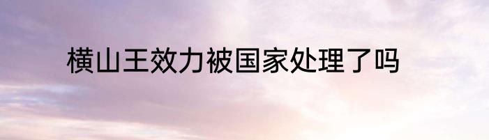 横山王效力被国家处理了吗